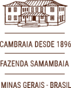vinheta