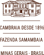 vinheta